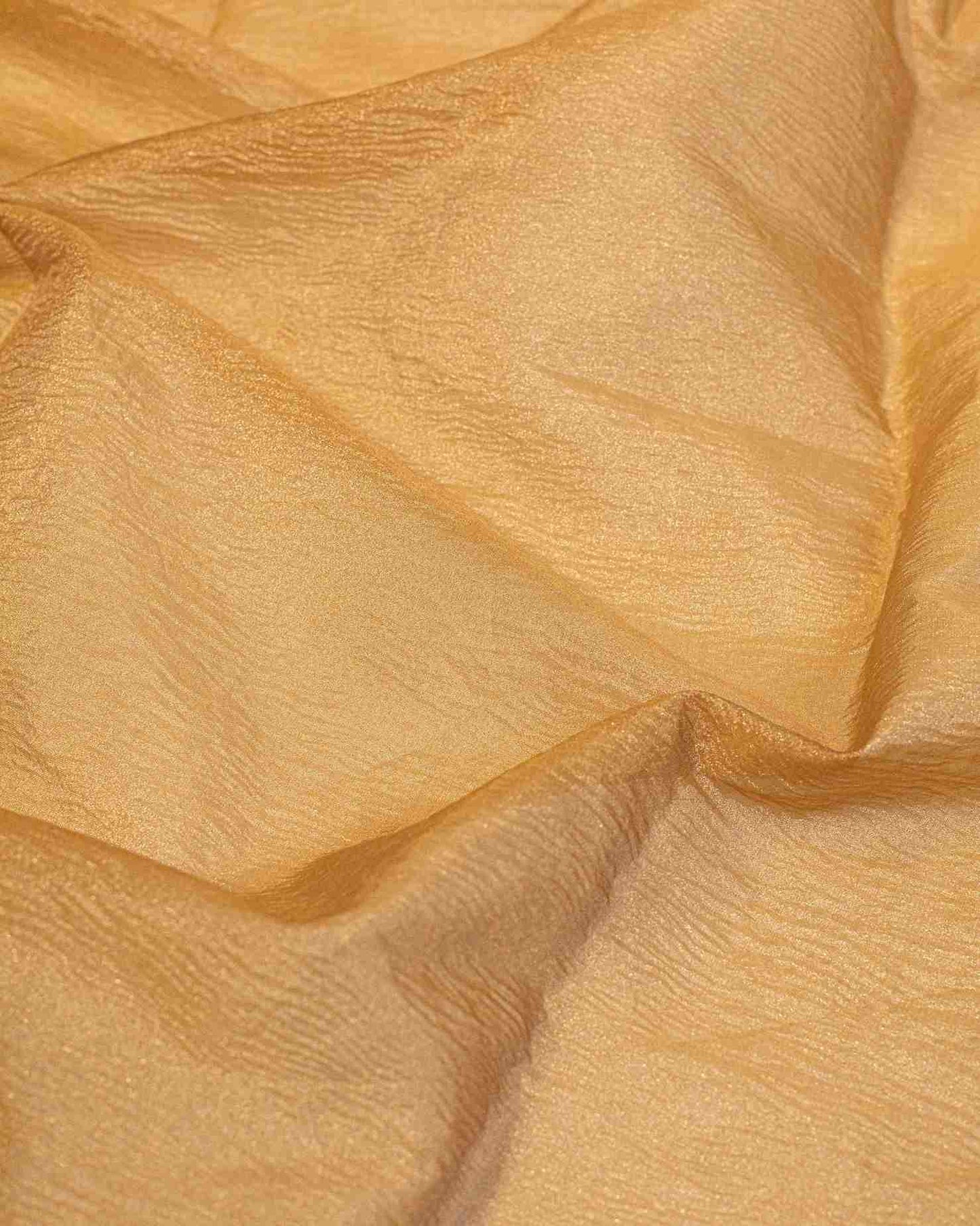 Gold Crush Tissue Sari with Floral Border