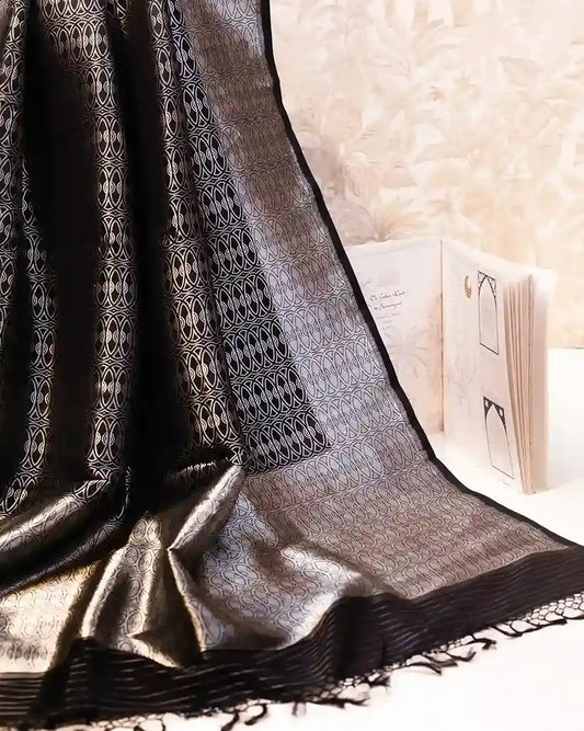 Black Handwoven Banarasi Sari with Silver Zari