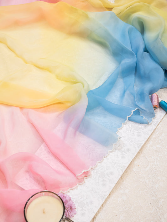 Ombre Yellow Tie Dye Organza Saree with Beaded Embroidery