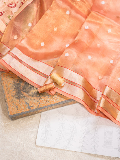 Peach Silk Tissue Saree with Golden Border and All Over Buttis