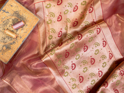 Coral Silk Tissue Saree with Golden Border and All Over Buttis