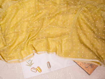 PHAGUN - Lime Green Shell Saree