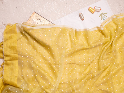 PHAGUN - Lime Green Shell Saree