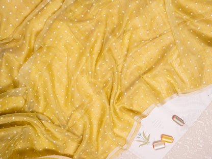 PHAGUN - Lime Green Shell Saree