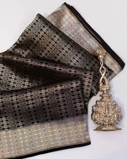 Black Handwoven Banarasi Sari with Silver Zari