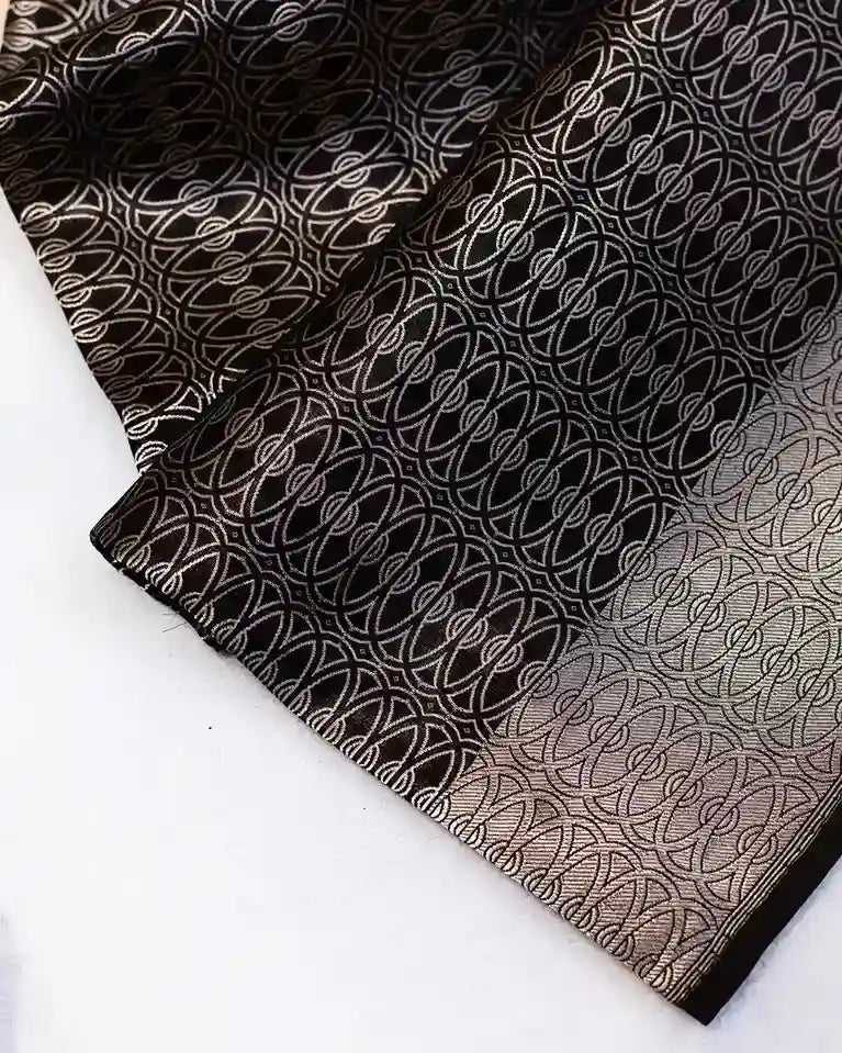 Black Handwoven Banarasi Sari with Silver Zari