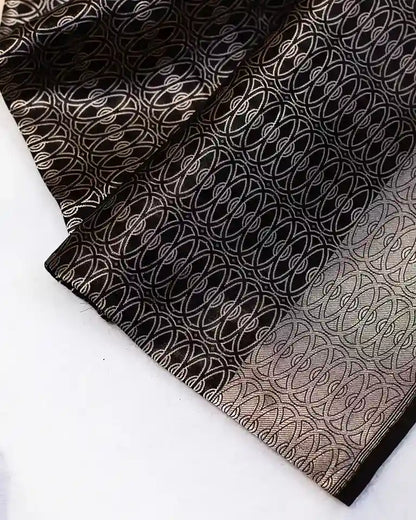 Black Handwoven Banarasi Sari with Silver Zari