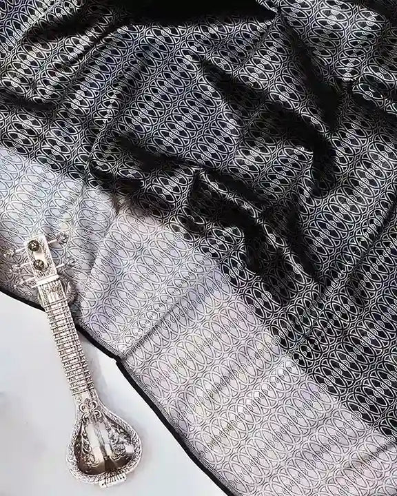 Black Handwoven Banarasi Sari with Silver Zari