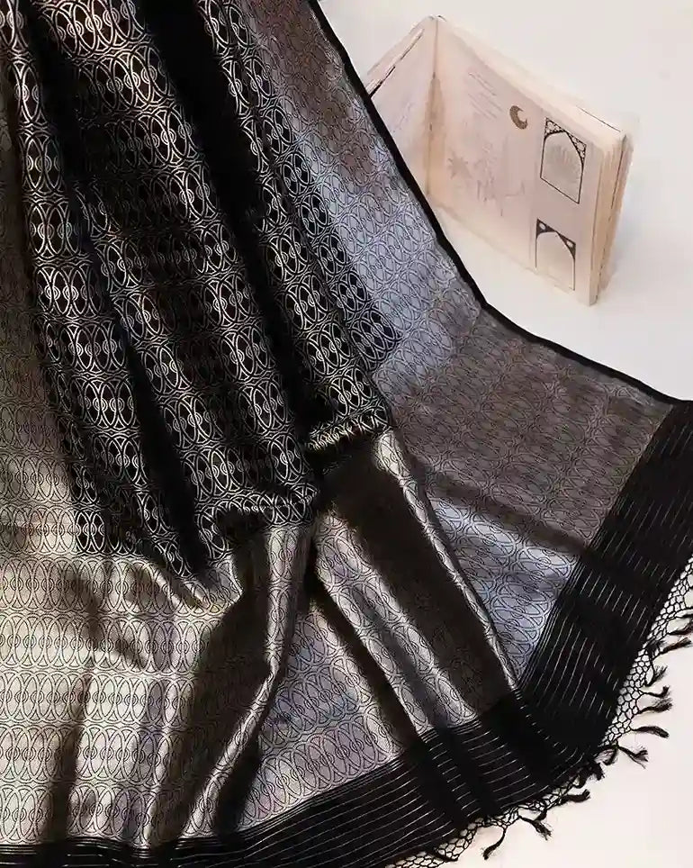 Black Handwoven Banarasi Sari with Silver Zari