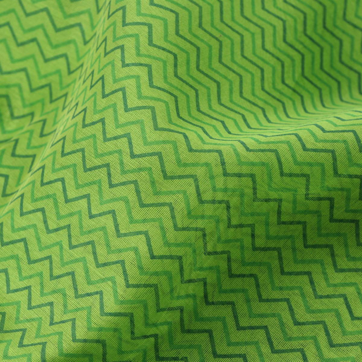 Handwoven Parrot Green Printed Silk Cotton Chanderi Sari - WIIAPRI CPSR0003 - Motif View