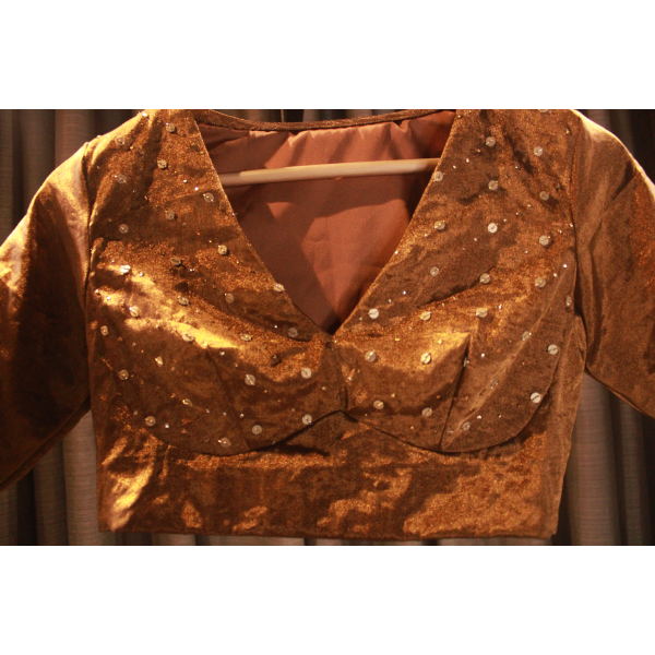 Golden Chanderi Silk Hand Embroidered Blouse